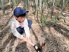-天目湖涵田度假村
