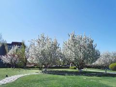 -春晖园度假酒店温泉