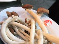 -红姐重庆火锅(曙光路店)