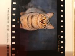 -猫的天空之城概念书店(苏州诚品店)