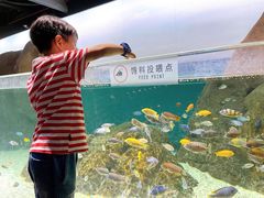 -江和美海洋公园