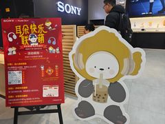 -Sony Store 索尼(上海淮海中路店)