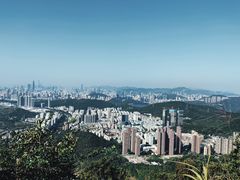 -梧桐山风景名胜区