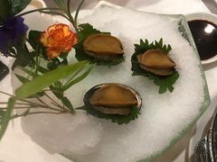 卤水冰镇鲍-金满楼(天河中路店)