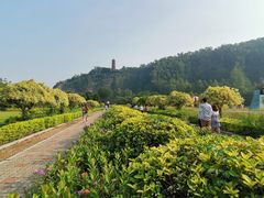 -南沙蒲洲花园