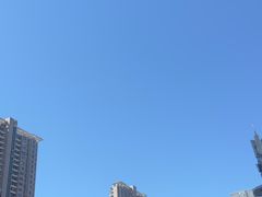 -沪上阿姨鲜果茶(世纪金源店)