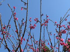 -火炉山森林公园