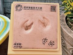 -九龙公园
