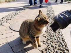 -狼山风景名胜区