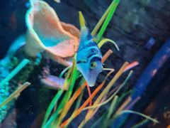 -沈阳海洋探索中心