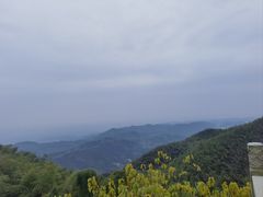 -长沙黑麋峰国家森林公园