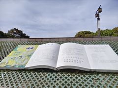 -观潮胜地公园