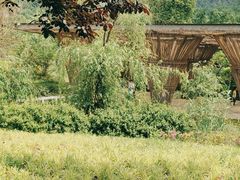 -贵阳市花溪国家城市湿地公园