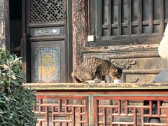 -大学习巷清真寺