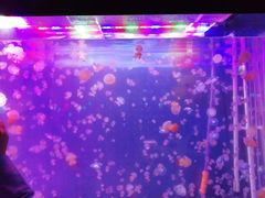 -欧亚达商业广场(红桥店)