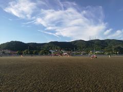 -大鹿岛