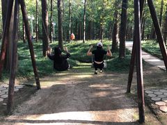 -日照海滨国家森林公园