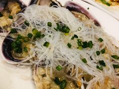 -鸿达渔港