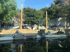 -常州淹城野生动物世界