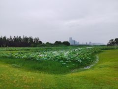 -苏州金鸡湖大酒店