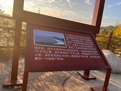 -广东惠东海龟国家级自然保护区