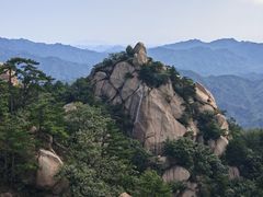 -六里坪国家森林公园