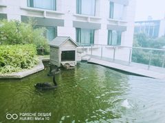 -行者书屋大堂吧 ·下午茶(南京圣和府邸酒店)