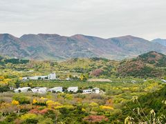 -国家植物园南园