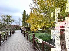 -溱湖国家湿地公园