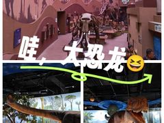 -陕西自然博物馆