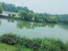 -狮麟驾校