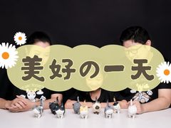 -iF摄影•全家福•证件照•形象照(南山店)