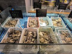 水产区-帽帽家只卖生蚝·烧烤(沙湖路店)