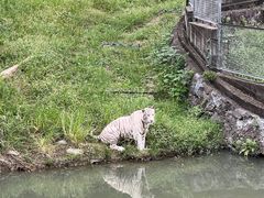 -宁波野生动物园