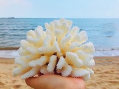 -金梦海湾浴场