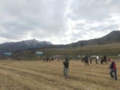 -扁都口生态休闲旅游区