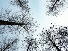 -苏州河梦清园环保主题公园