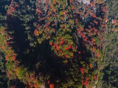 -秦岭终南山世界地质公园翠华山景区