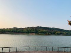 -羊山湖公园