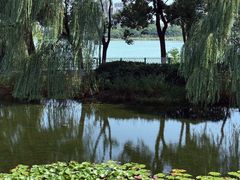 -金银湖国家城市湿地公园