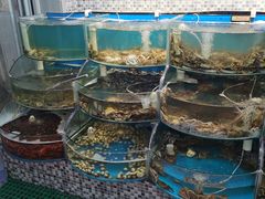 -仙螺岛海鲜自助餐厅(总店)