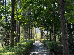 -福清灵石山国家森林公园