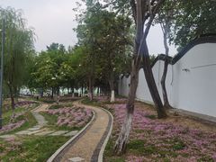 -古琴台