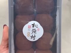 -桃源村(南大店)