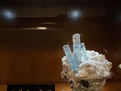 -青岛德国总督楼旧址博物馆