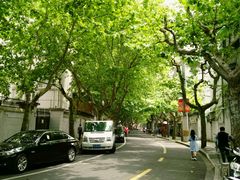 -天府面庄(天平路店)