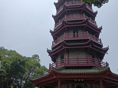 -南沙蒲洲花园