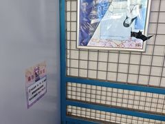 -移动谜城·大笨象密室逃脱(五棵松店)