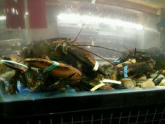 -海大大蒸汽海鲜餐厅·粤菜·特色小炒(欢乐颂店)