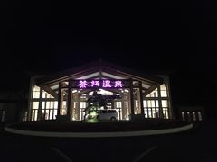 -英德宝晶宫天鹅湖茶语温泉